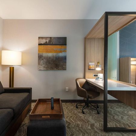 Springhill Suites By Marriott Chattanooga South/Ringgold Eksteriør bilde