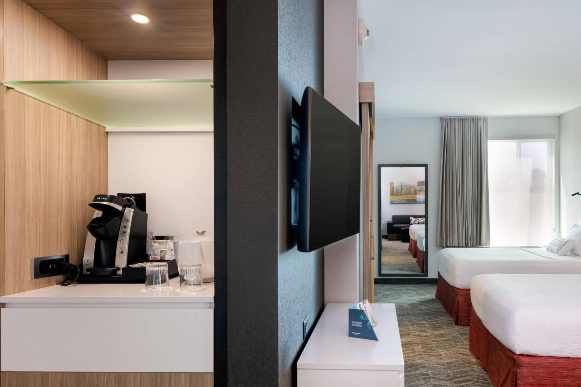 Springhill Suites By Marriott Chattanooga South/Ringgold Eksteriør bilde